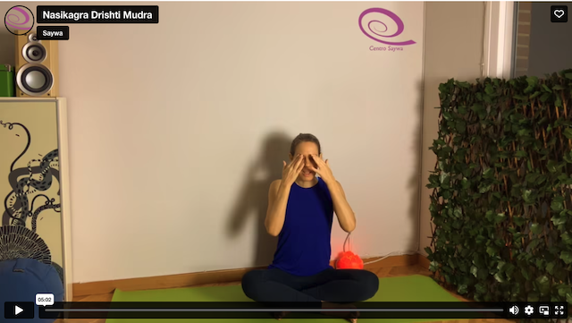 Minipráctica: Nasikagra Dristhi Mudra