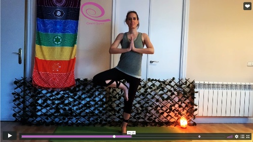Práctica: Equilibrio y fuerza