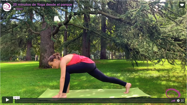 Práctica: 25 minutos de Yoga desde la Naturaleza