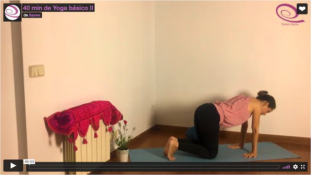 Práctica: 40 min de Yoga básico II